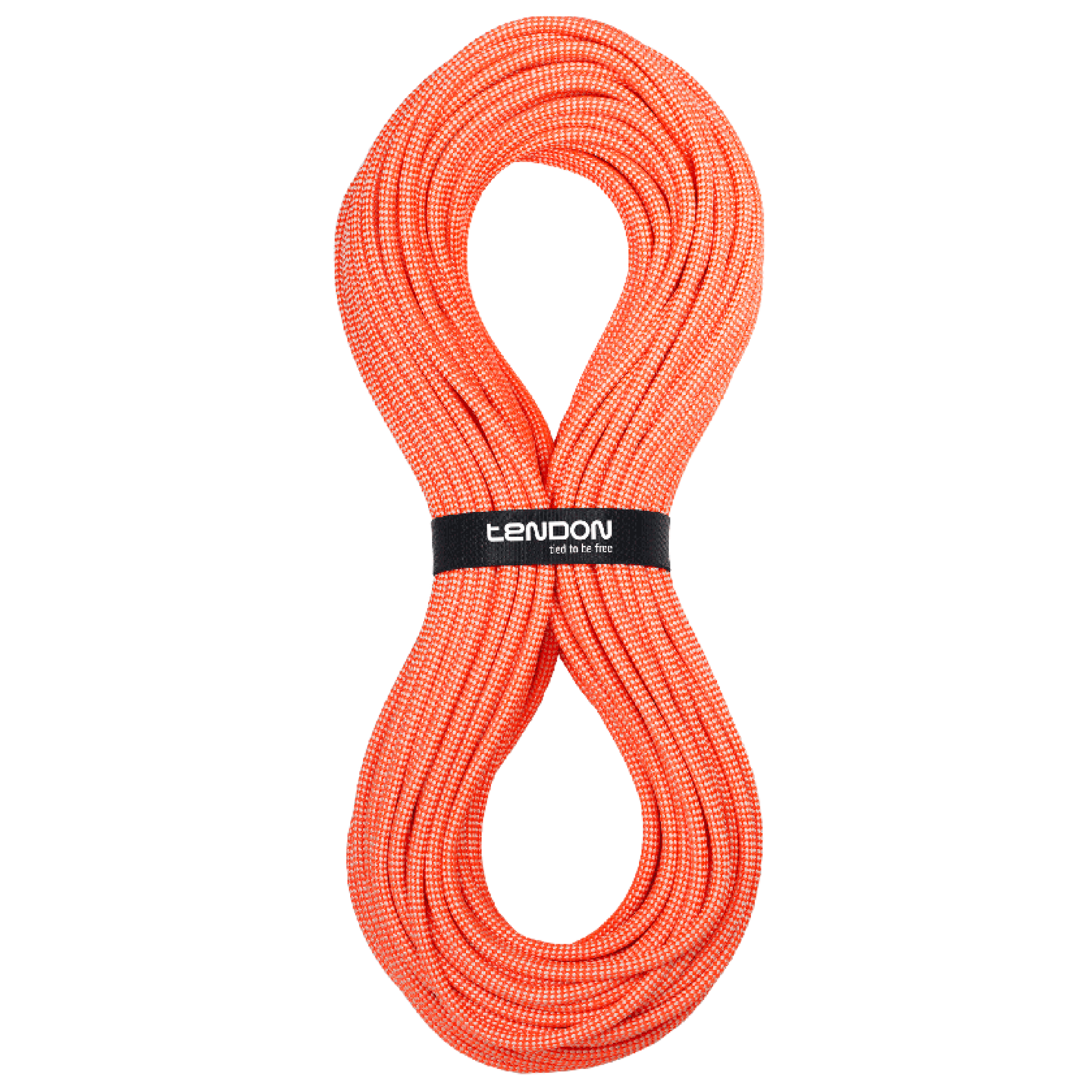 Canyon Dry 9.0 TeNOTE online tool designed for revising and tracking the condition of ropes. The application is available in Google Play or available on the Web interface. To regis