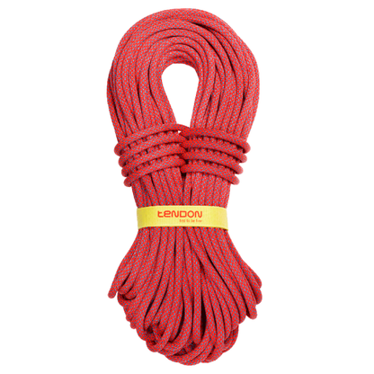 Hattrick 10.2 Single ropes For ascent where only one rope is used. This is the most basic and widely used method of using rope for ascents.


 TeNOTE online tool designed for revi