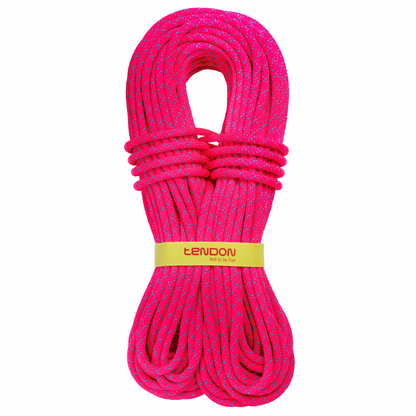 Master 9.7 Tefix Single ropes For ascent where only one rope is used. This is the most basic and widely used method of using rope for ascents.


 TeNOTE online tool designed for revi