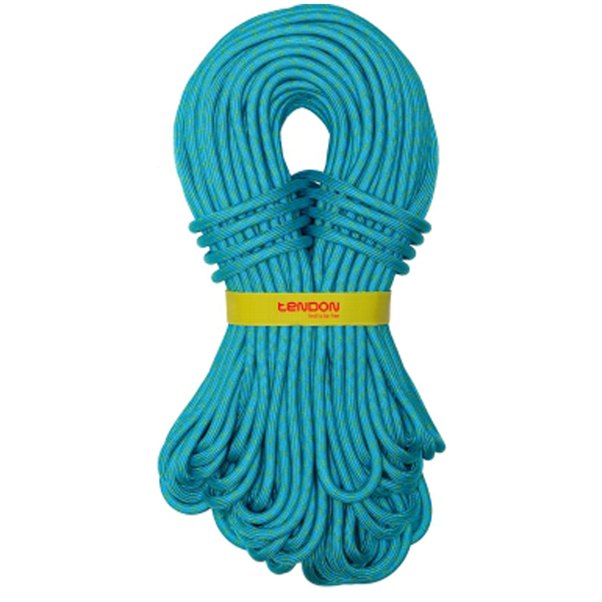 Dynamic Master Pro 9.2 Single ropes For ascent where only one rope is used. This is the most basic and widely used method of using rope for ascents.


 TeNOTE online tool designed for revi