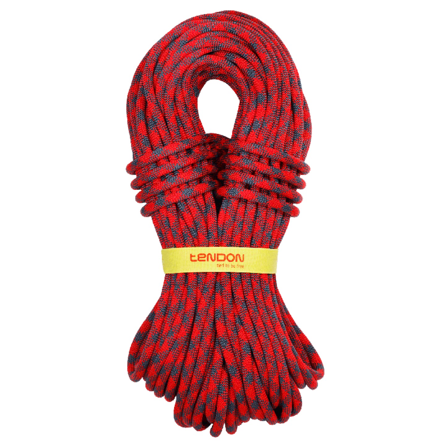 Dynamic Trust 11 Single ropes For ascent where only one rope is used. This is the most basic and widely used method of using rope for ascents.


 TeNOTE online tool designed for revi